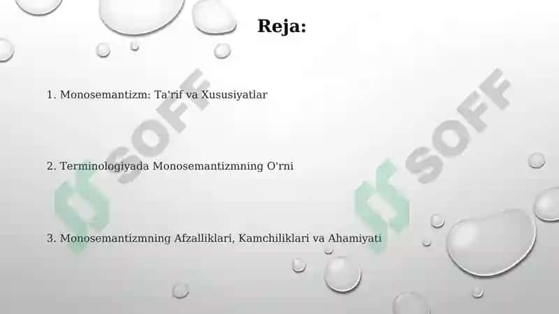 Terminlarning monosemantik xarakteri 2