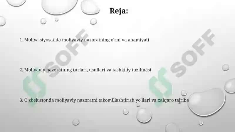 Moliyaviy nazorat 2