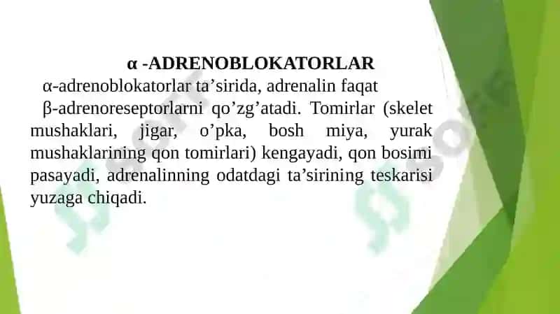 ADRENORESEPTORLARNI FALAJLOVCHI VOSITALAR 2