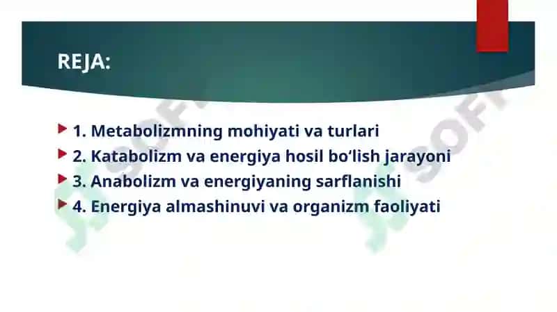 Metabalizm jarayonida energiya hosil bo’lishi va sarflanishi 2