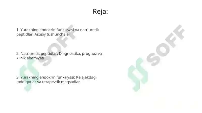 Yurakning endokrin vazifasi 2