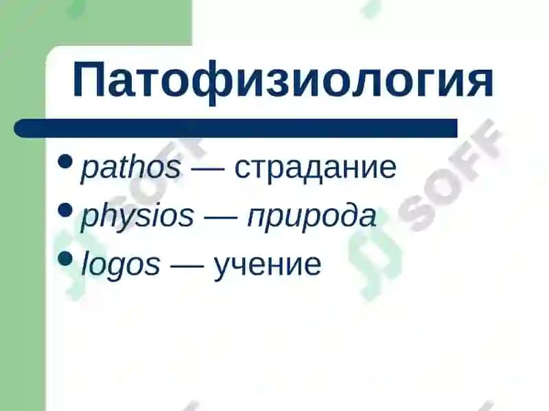 Введение в патофизиологию 2