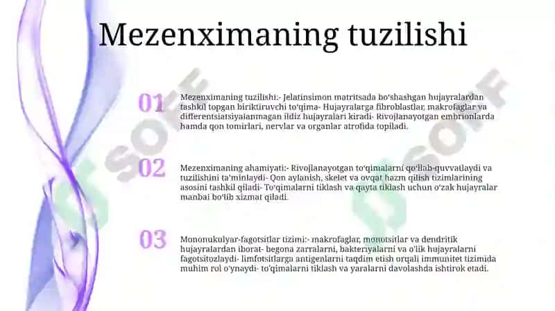 Mezenximaning Tuzilishi Va Ahamiyati 2