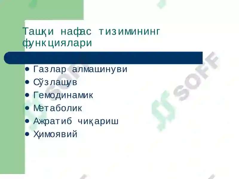 Ташқи нафастизими патофизиологияси 2