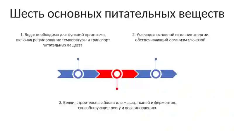 Шесть (6) 2