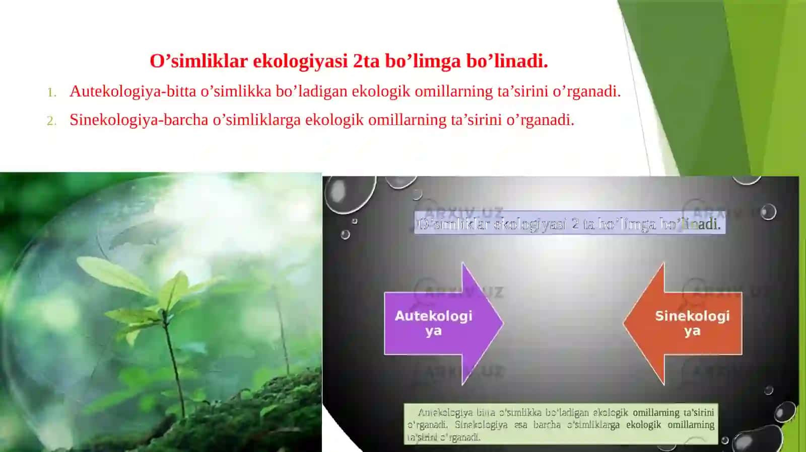 O‘simliklar Ekologiyasining Rivojlanishi Tarixi 2