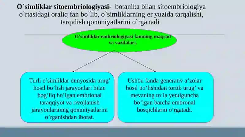 O’simliklar sitoembriologiyasi 2