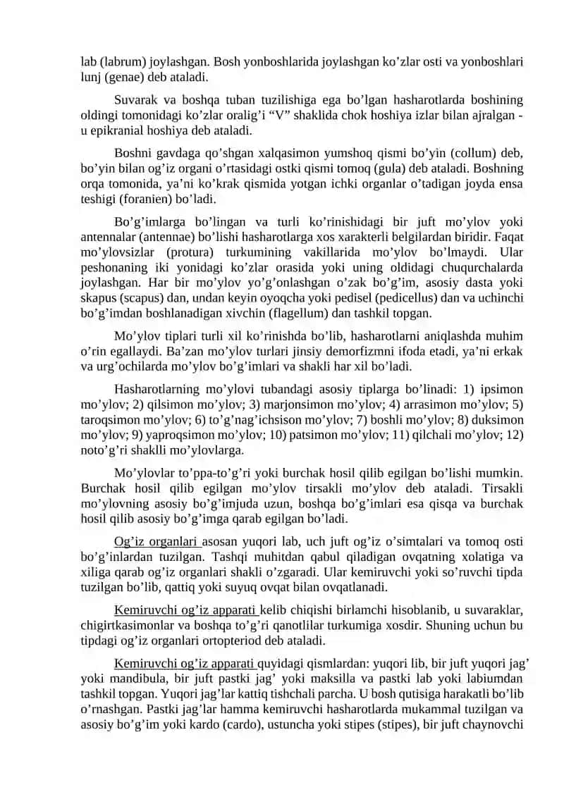 Hasharotlarning morfologik belgilari 2