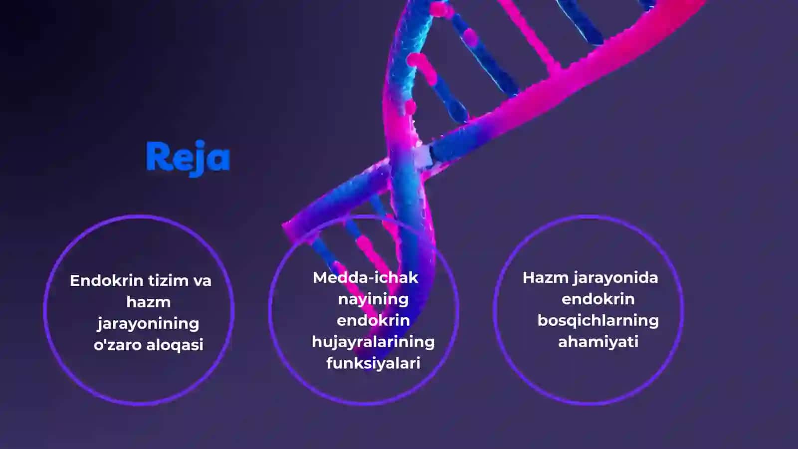 Endokrin Tizim va Hazm Jarayoni 2