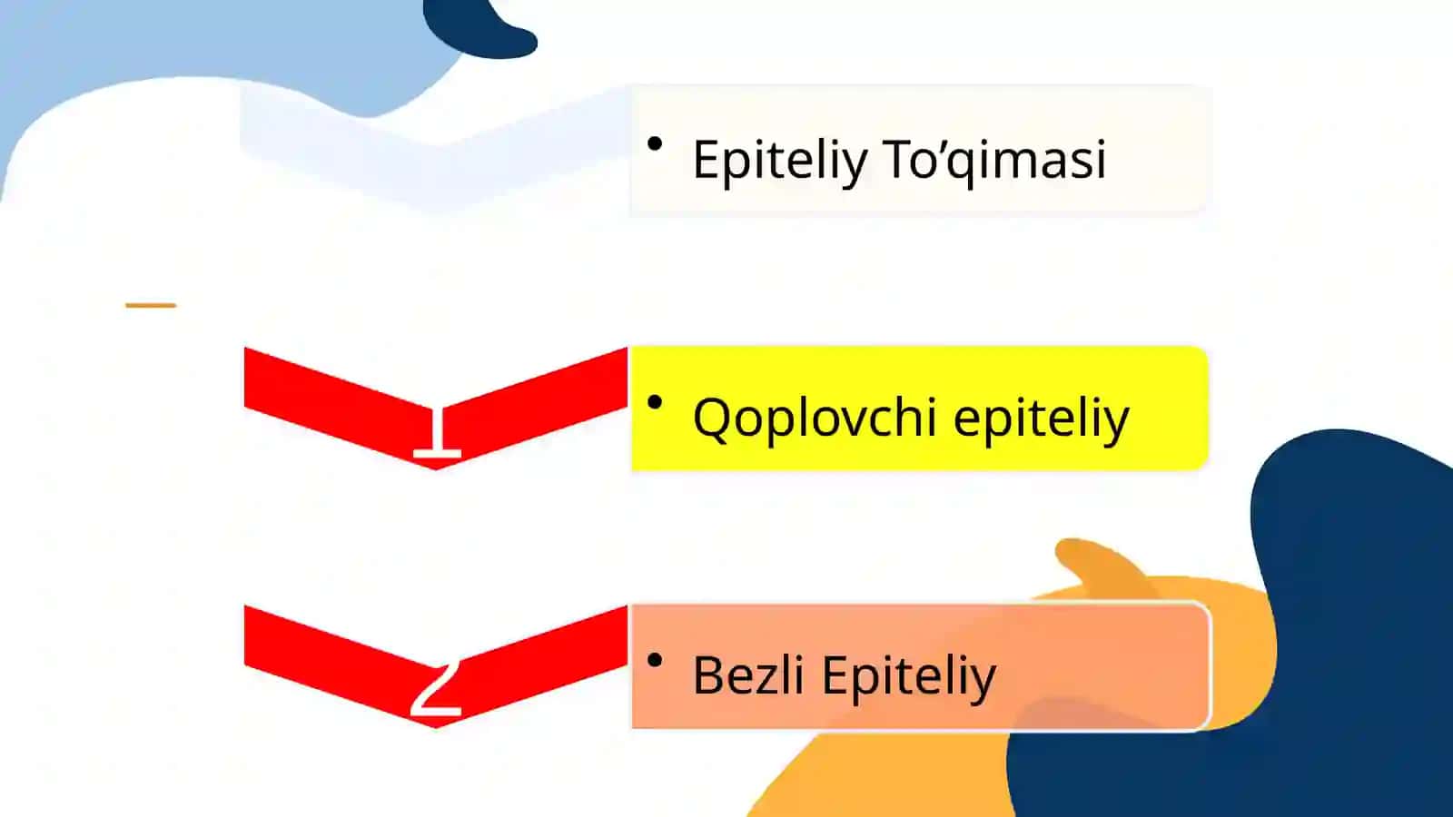 EPITELIY TO’QIMASI 2