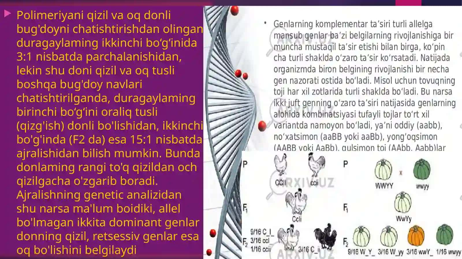 Genlarning polimer ta’sirining seleksiyada ishlatilishi 2