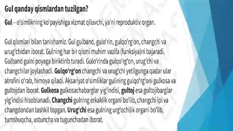 Gul 2-qism 2