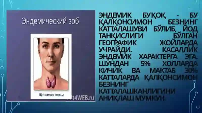 ЭНДЕМИЧЕСКИЙ   ЗОБ, ГИПОТЕРИОЗ   И   ПАТОГЕНЕЗ 2