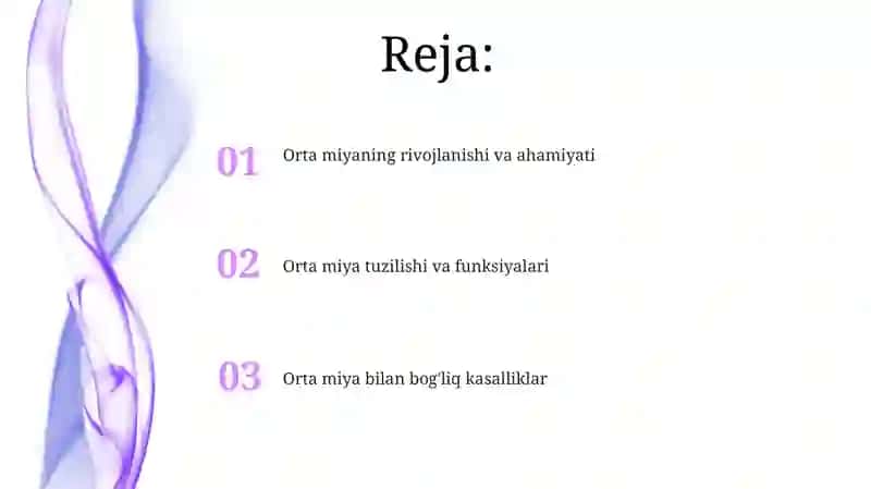 Õrta miya oraliq miya 2
