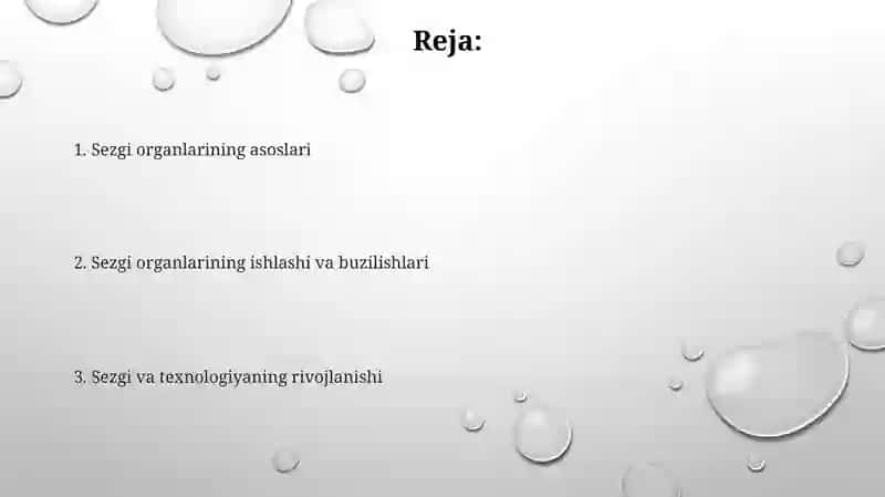 Sezgi organlari 2