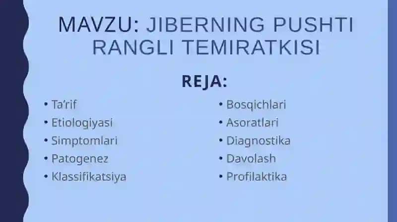 Jib erining pushti rangli temirat kisi 2
