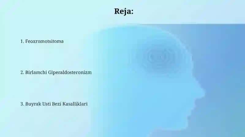 Buyrak Usti Bezi Kasalliklari 2