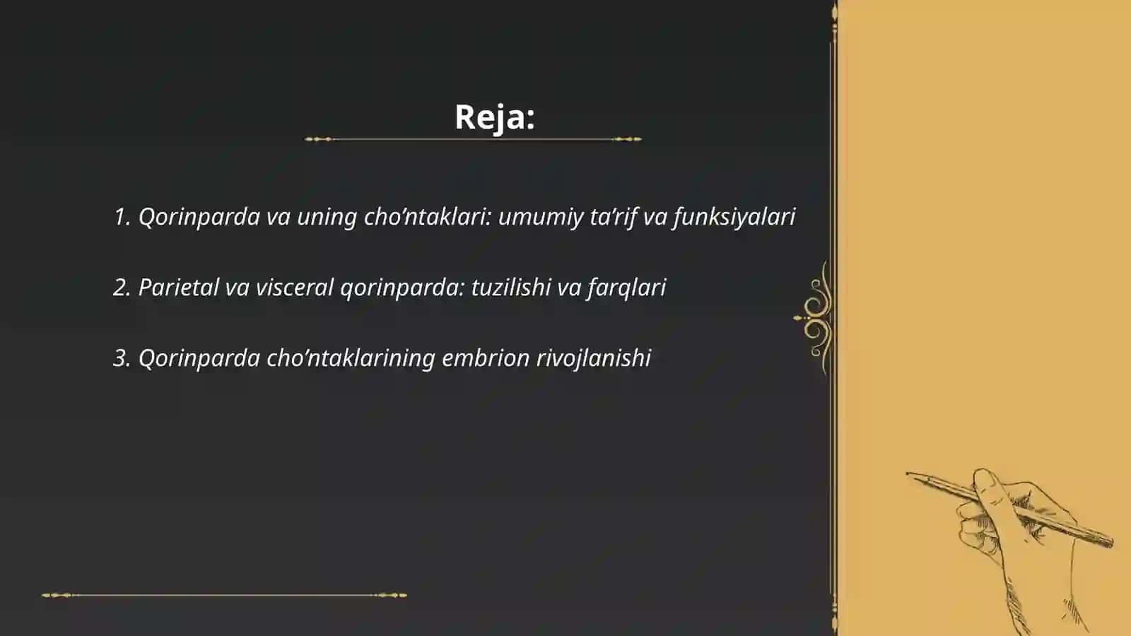 Qorinparda va uning cho’ntaklari 2