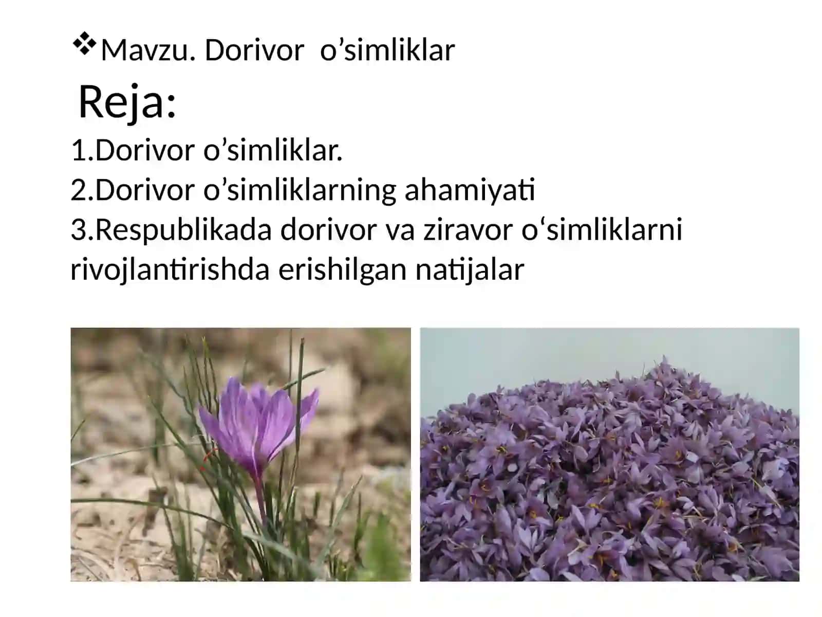 Dorivoro’simliklar-PlantaeMedicinae 2