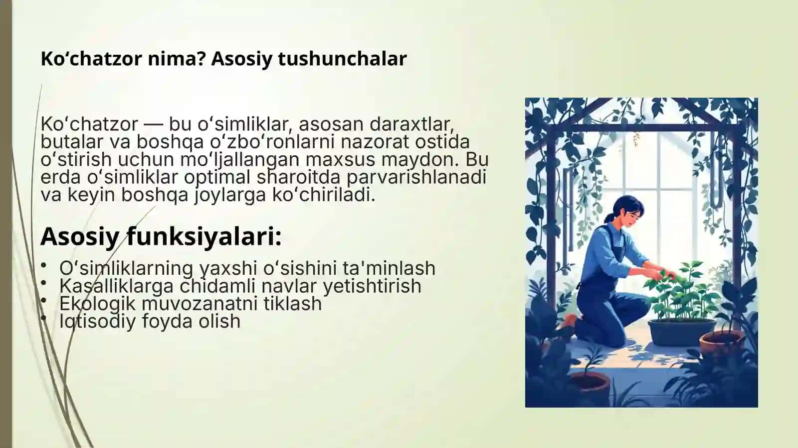 Koʻchatzor xillari va ularning ahamiyati 2