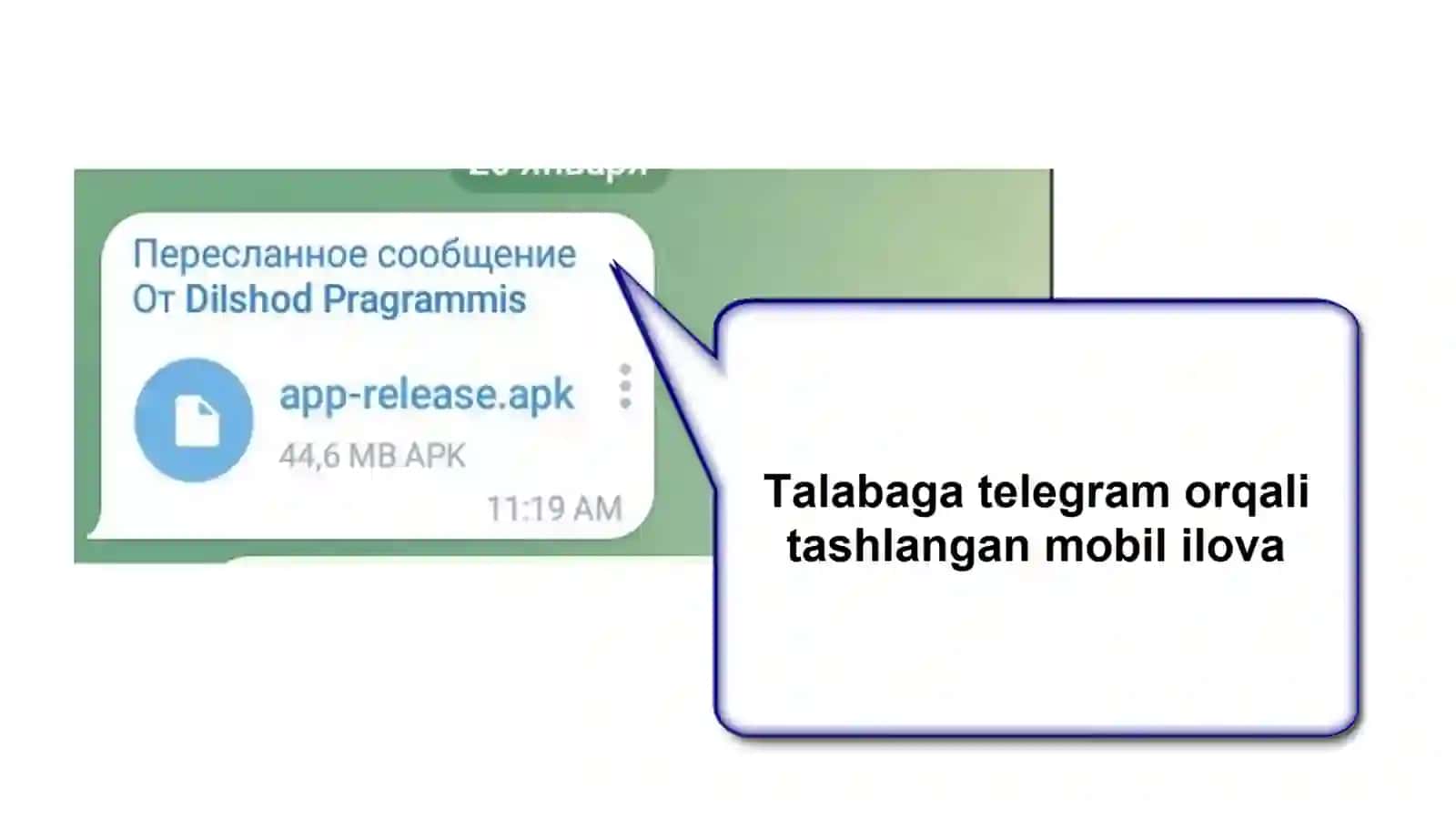 Malakaviy amaliyot jarayoni 2