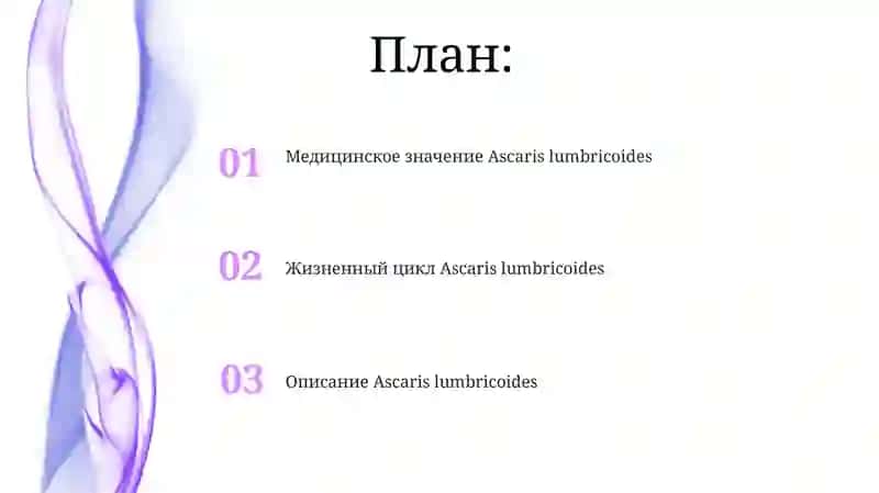 Ascaris lumbricoides 2