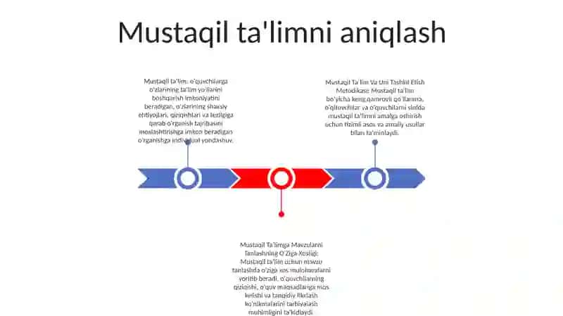 Mustaqil Ta'Lim Va Uni Tashkil Etish Metodikasi 2