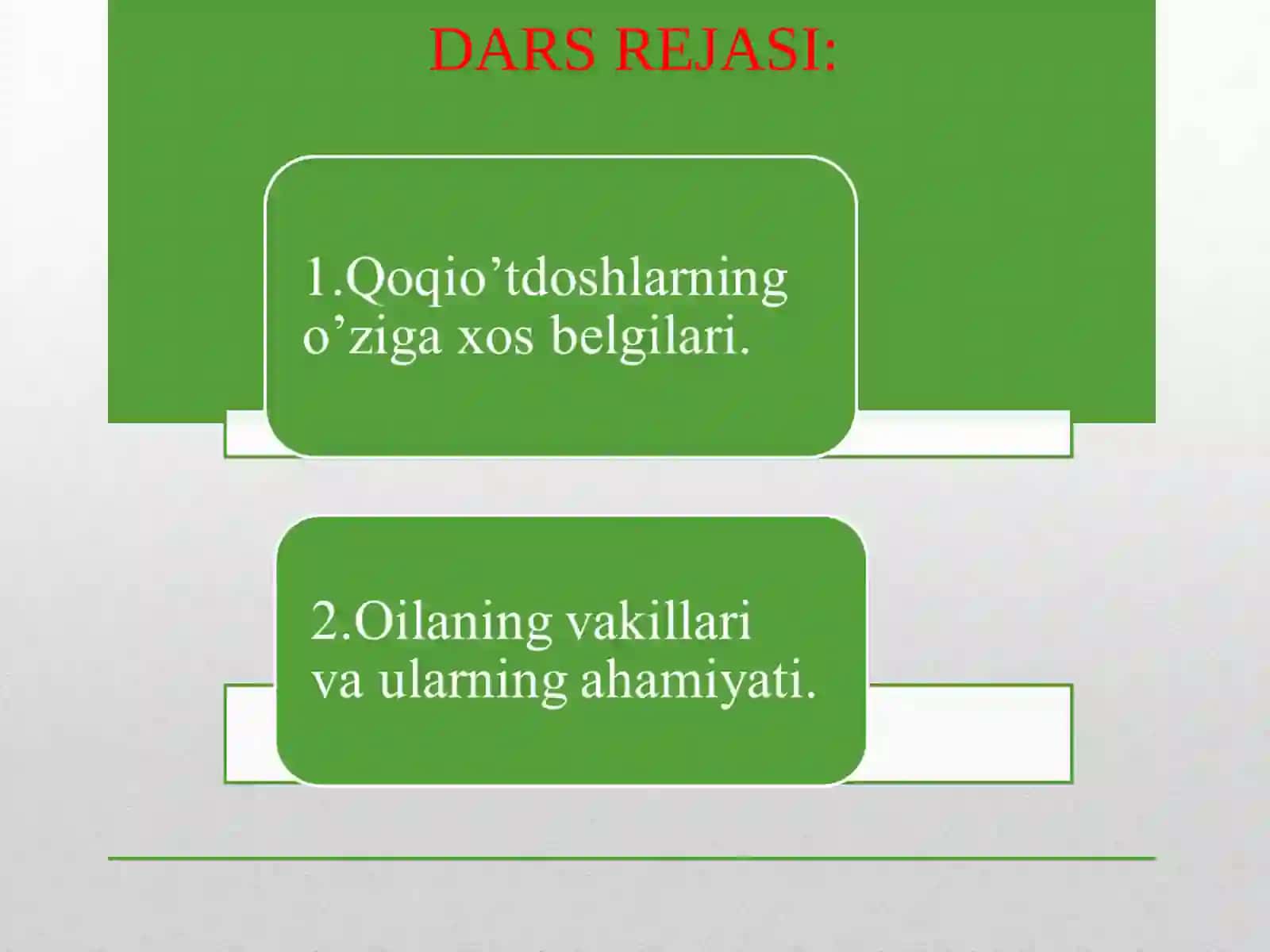 Qoqio’tdoshlar oilasi 2