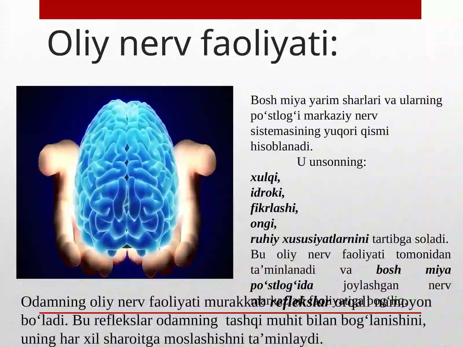 Oliy nerv faoliyati 2