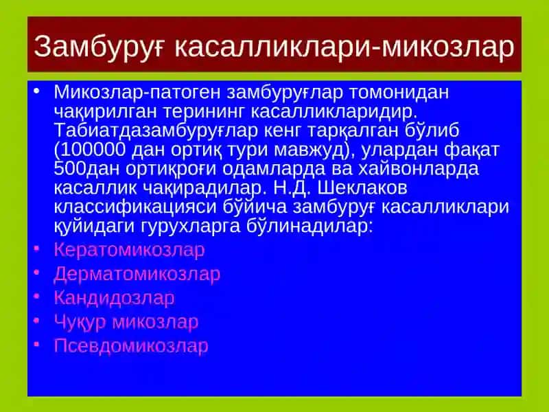 Замбуруғ касалликлари-микозлар 2