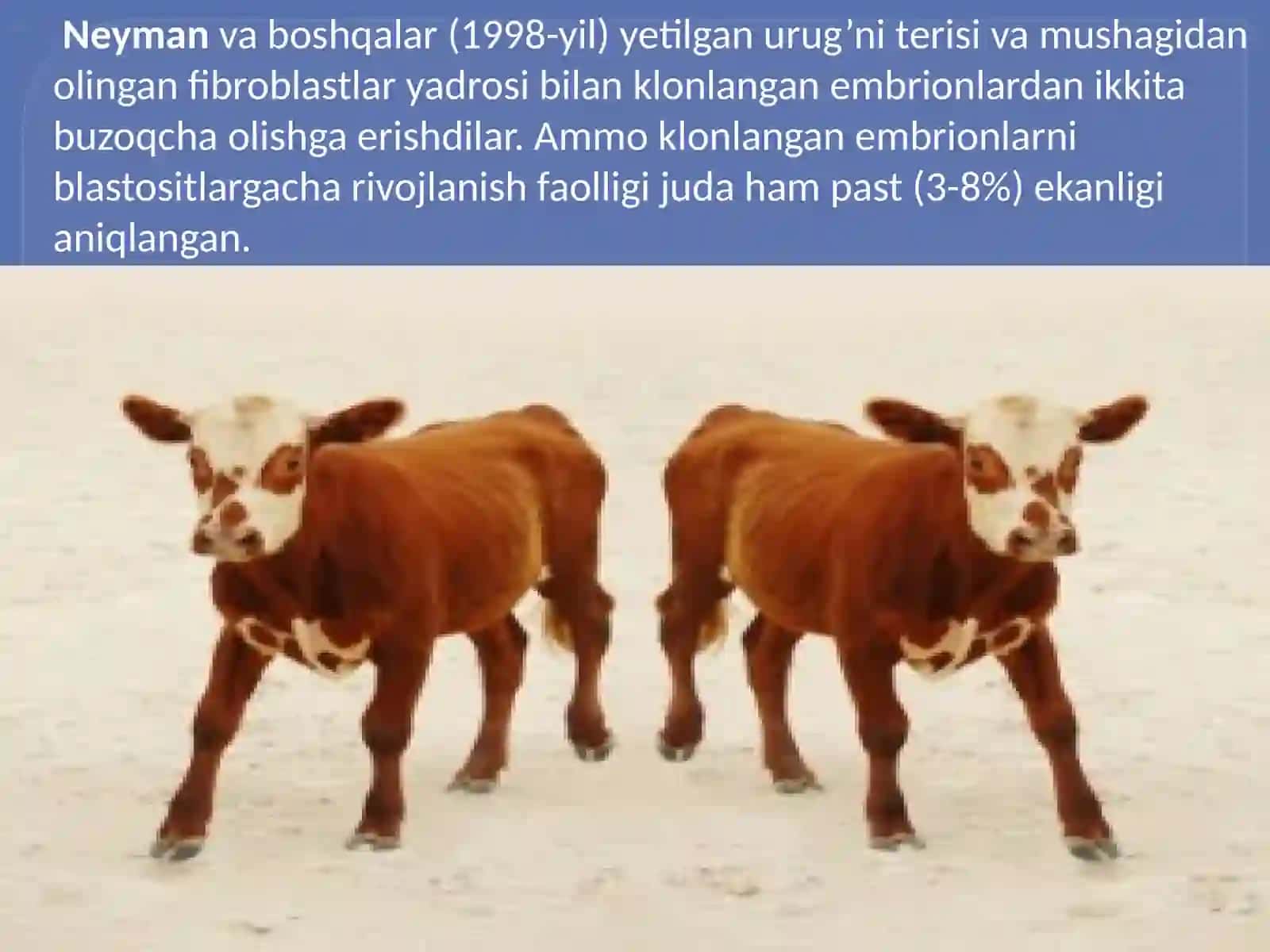 Vilmutboshchiligidagi o'yin 2