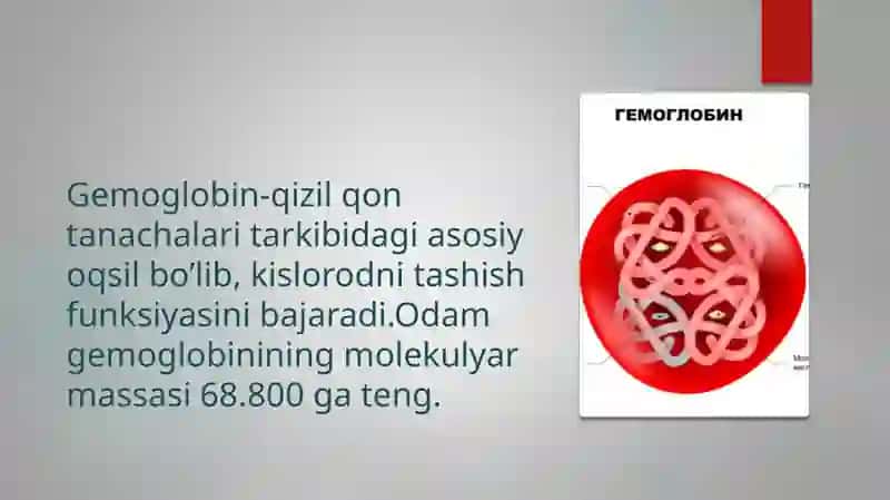 Gemoglobin haqida umumiy tushuncha 2
