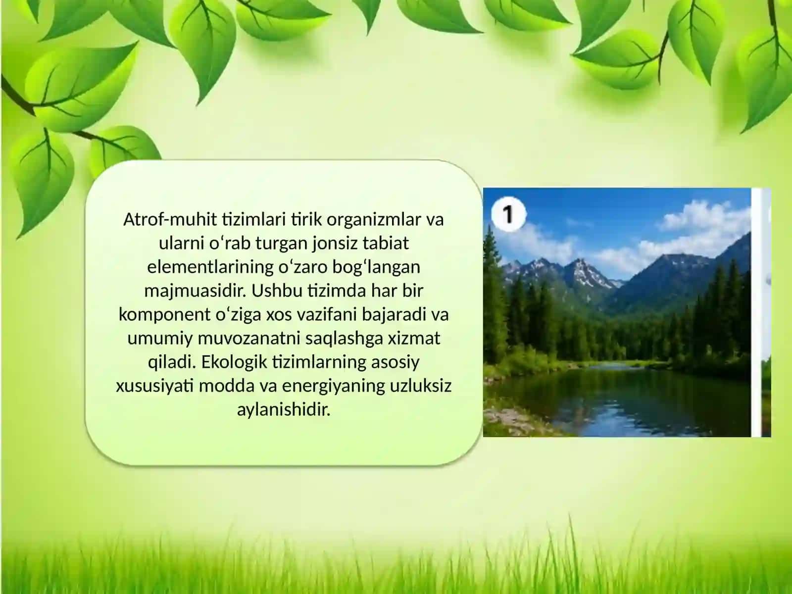 Atrof-muhit tizimlari modda, energiya va hayot 2