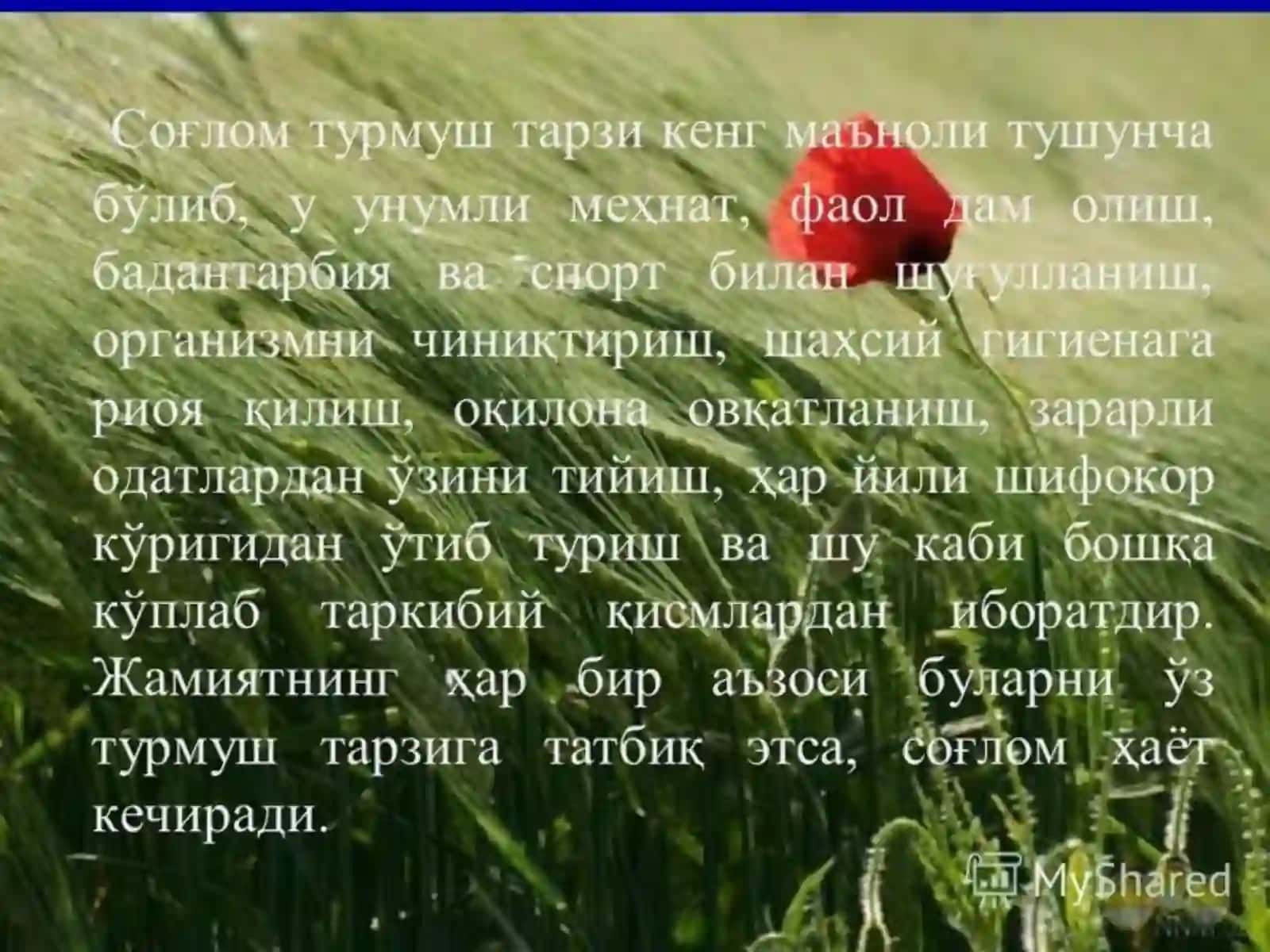 Халқаро кашандаликка қарши курашиш куни 2