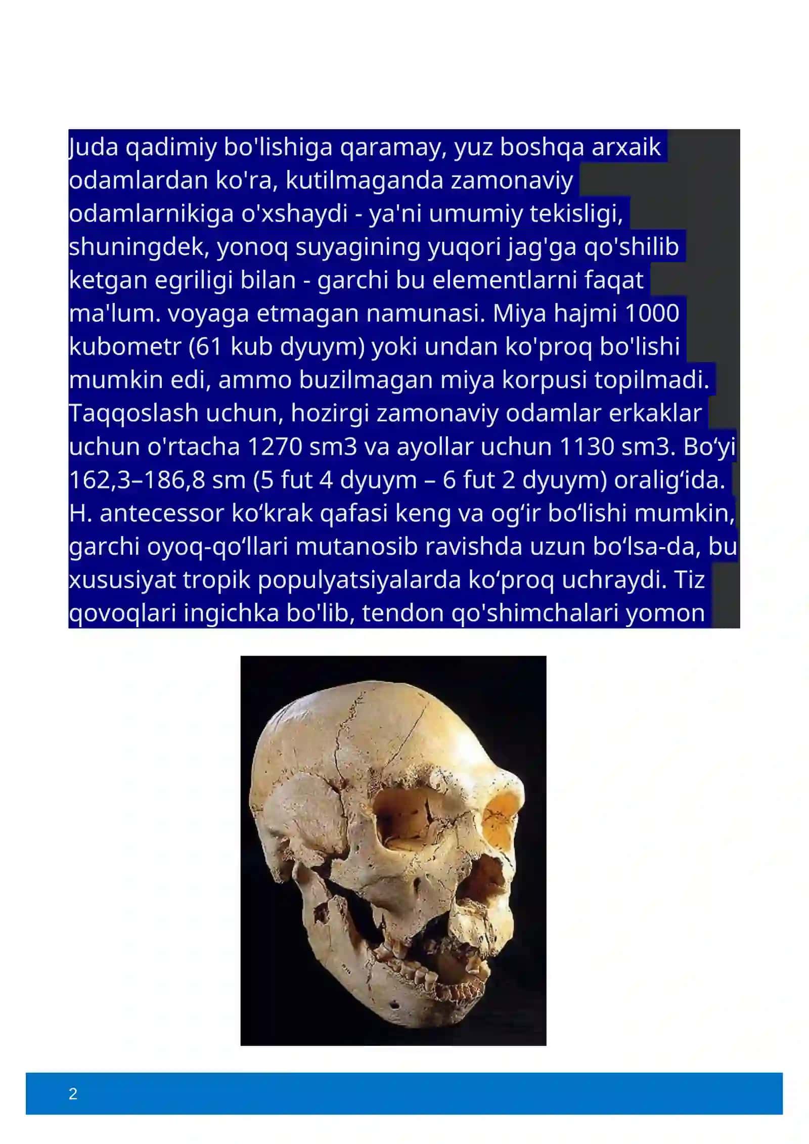 Homo antecessorlar 2