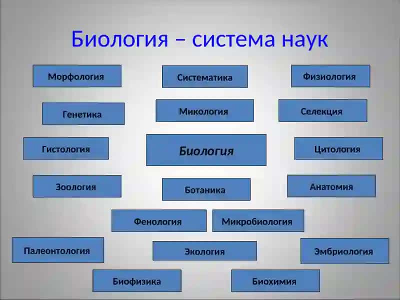 Биология 2