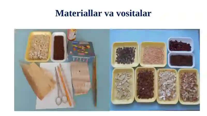 Urug‘lardan gulshaklini yasash 2