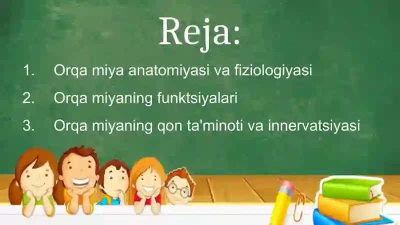 Orqa miya anatomo-fiziologik xususiyatlari 2
