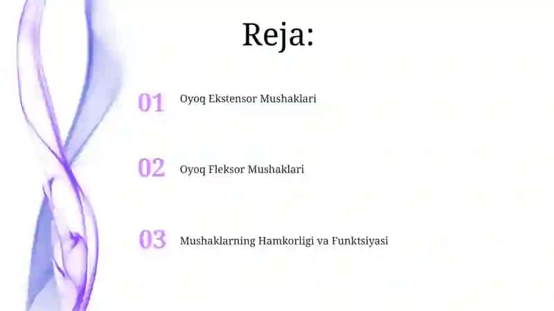 Mushaklarning Hamkorligi va Funktsiyasi 2