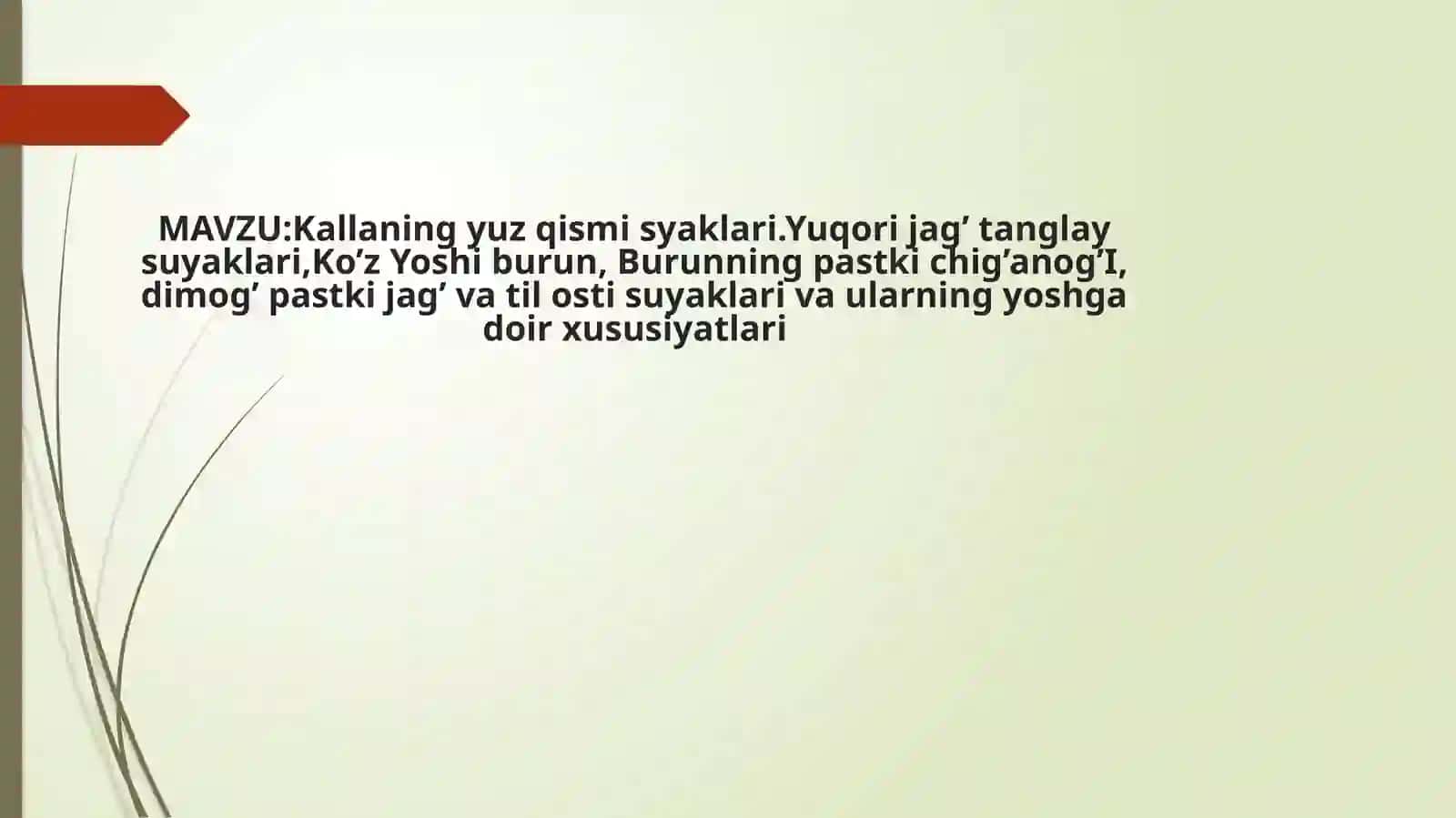 Kallaning yuz qismi suyaklari 2