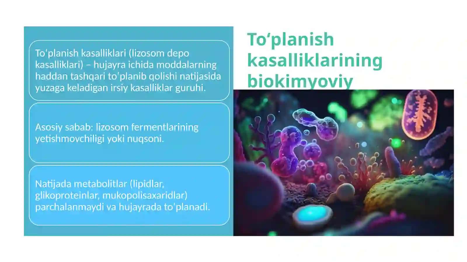 Toʻplanish kasalliklarining biokimyoviy mexanizmi 2