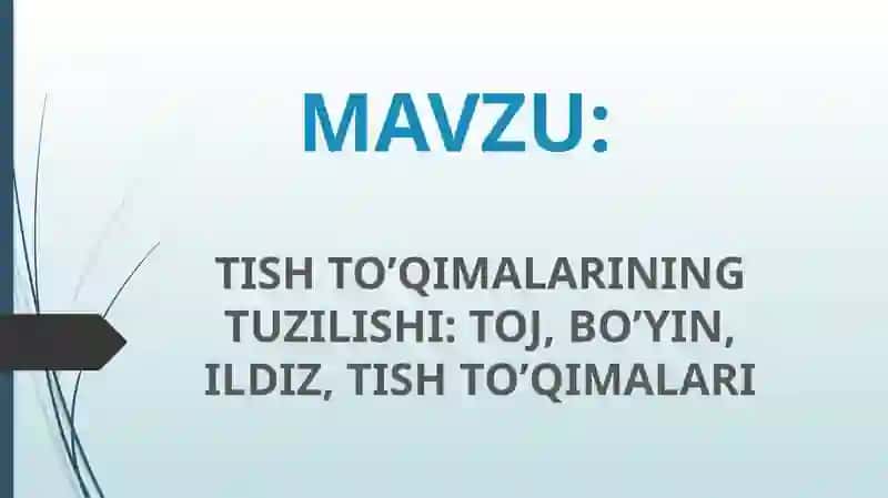Tish To'qimalarining Tuzilishi 2