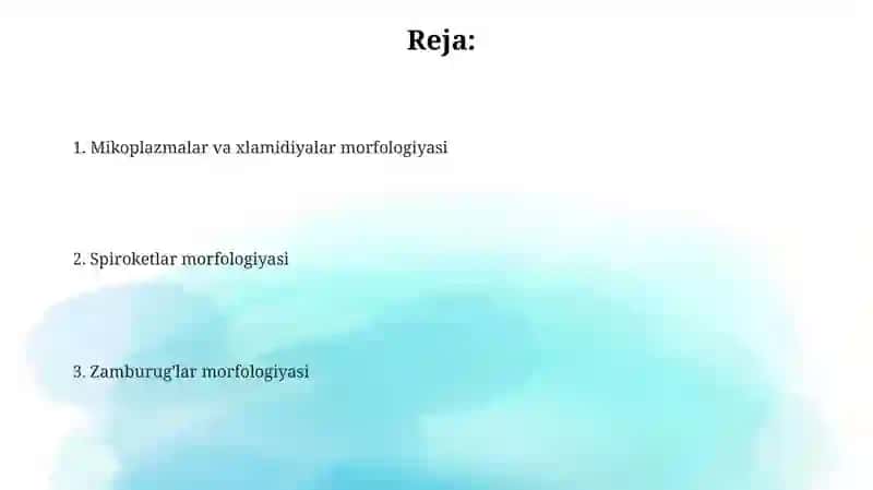 Mikoplazmalar morfologiyasi 2