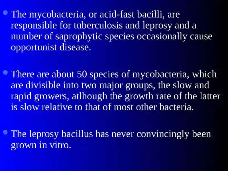 Mycobacterium tuberculosis 2