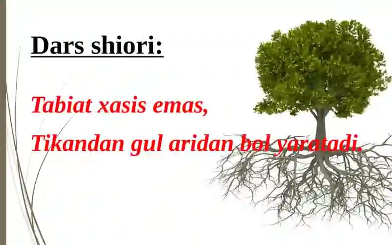 7-sinf Zoologiya 2