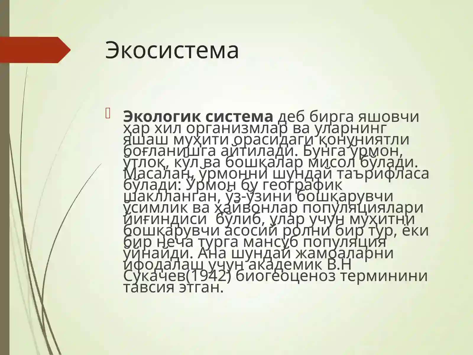 Экосистемалар 2