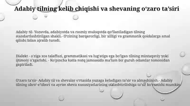 Adabiy Til Va ShevalarningO'ZaroMunosabati 2