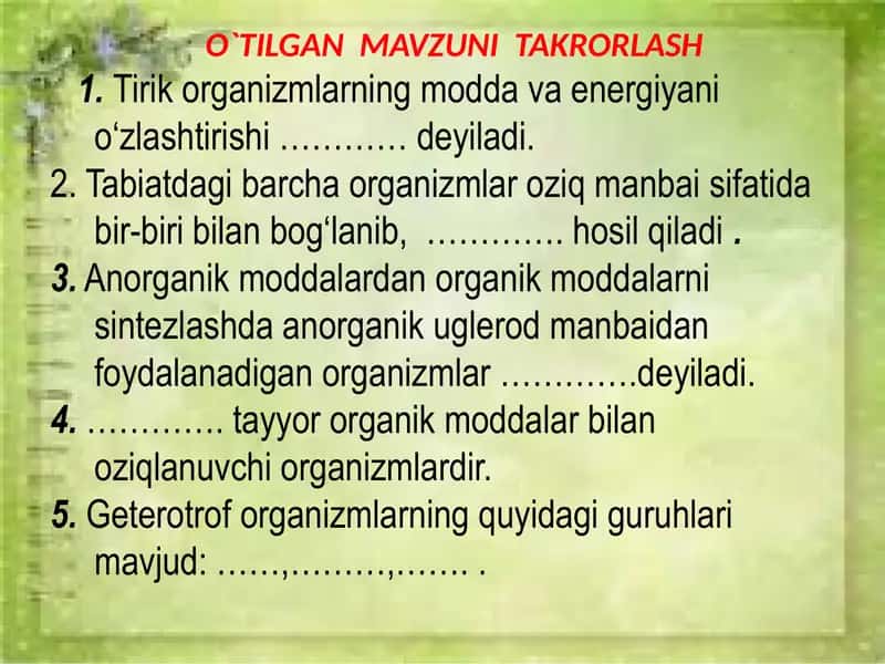 "Hayvonlarning Nafas Olish Organlari Evolutsiyasi" 2