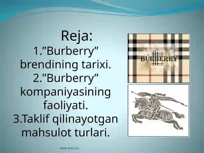 Burberry brendi 2