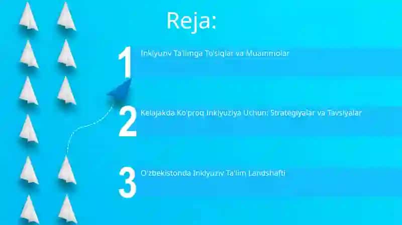 Inklyuziv Ta'limga To'siqlar va Muammolar 2